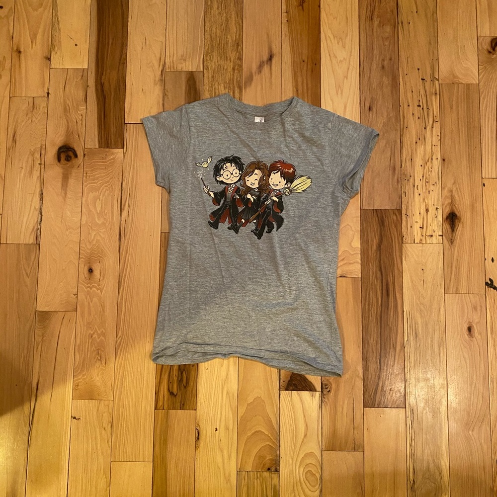 Harry Potter Trio T-Shirt in Gray